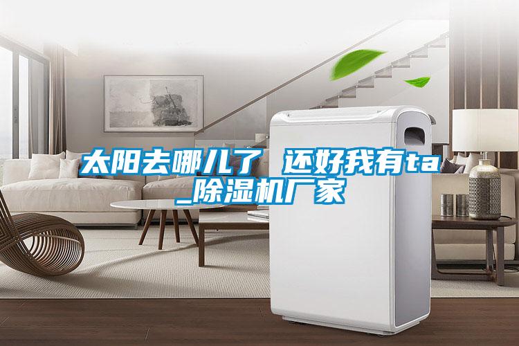 太陽去哪兒了 還好我有ta_91看片在线下载機廠家