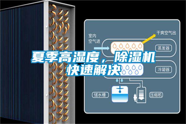 夏季高濕度，91看片在线下载機快速解決