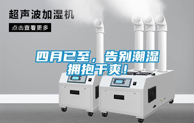 四月已至，告別潮濕擁抱幹爽！