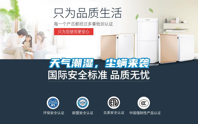 天氣潮濕，塵蟎來襲
