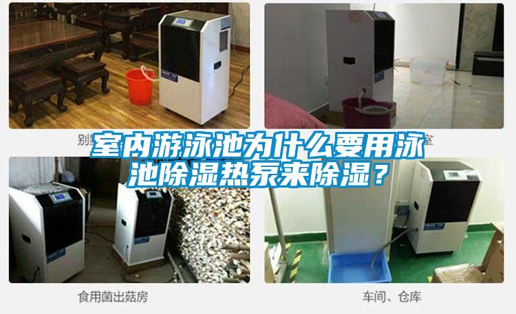 室內遊泳池為什麽要用泳池91看片在线下载熱泵來91看片在线下载？