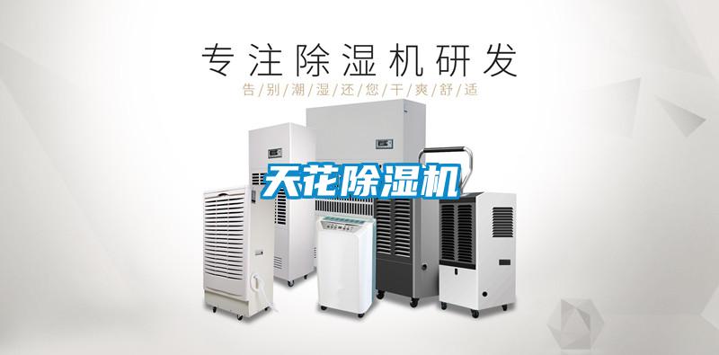 天花91看片在线下载機