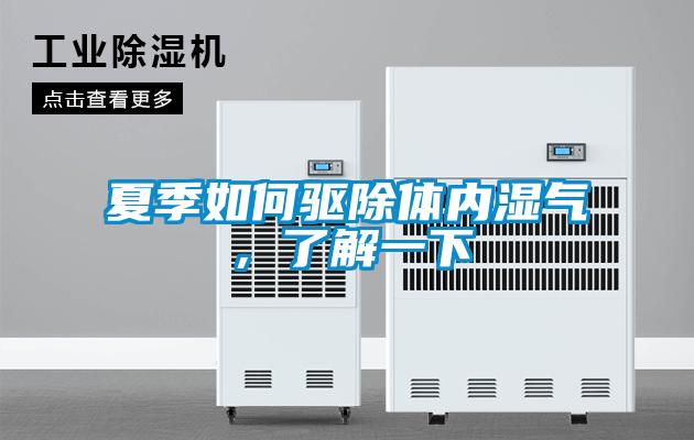 夏季如何驅除體內濕氣，了解一下