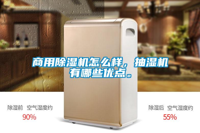 商用91看片在线下载機怎麽樣，抽濕機有哪些優點。