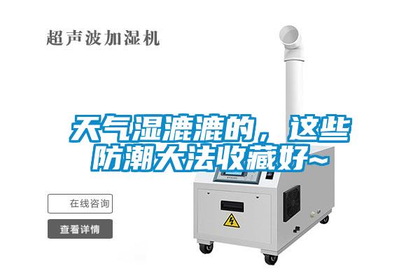 天氣濕漉漉的，這些防潮大法收藏好~