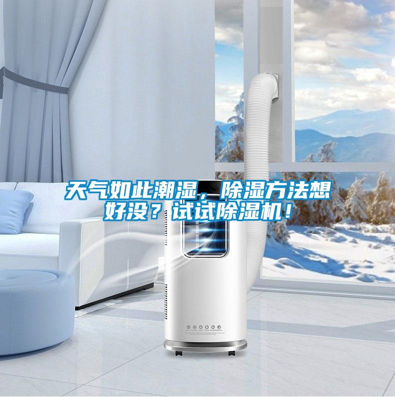 天氣如此潮濕，91看片在线下载方法想好沒？試試91看片在线下载機！