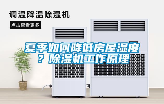 夏季如何降低房屋濕度？91看片在线下载機工作原理