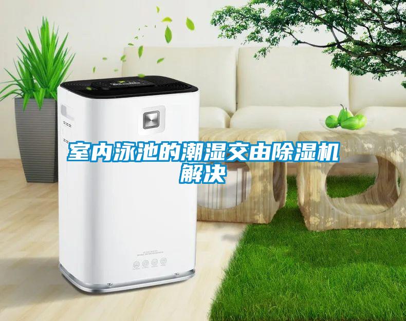 室內泳池的潮濕交由91看片在线下载機解決