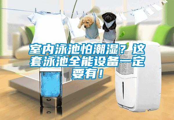 室內泳池怕潮濕？這套泳池全能設備一定要有！