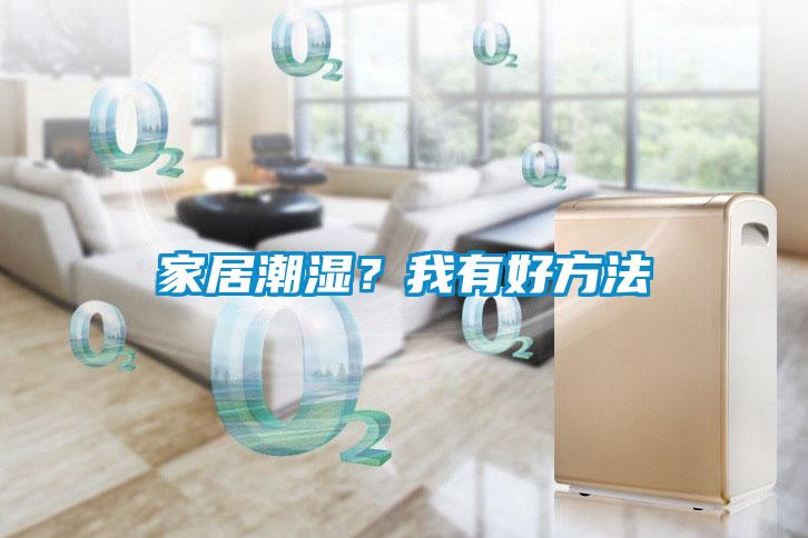 家居潮濕？我有好方法