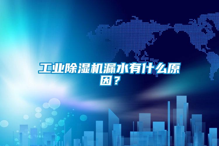 工業91看片在线下载機漏水有什麽原因？