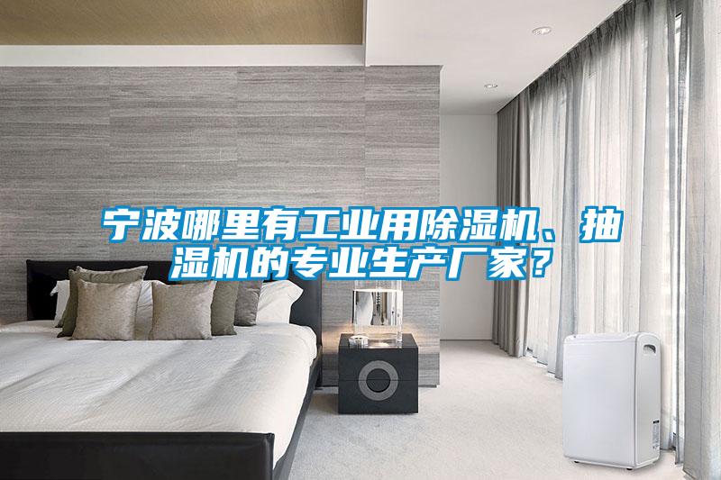 寧波哪裏有工業用91看片在线下载機、抽濕機的專業生產廠家？
