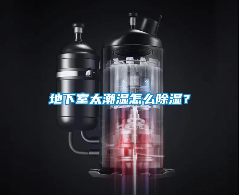 地下室太潮濕怎麽91看片在线下载？