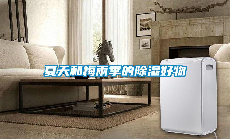 夏天和梅雨季的91看片在线下载好物