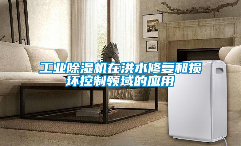 工業91看片在线下载機在洪水修複和損壞控製領域的應用