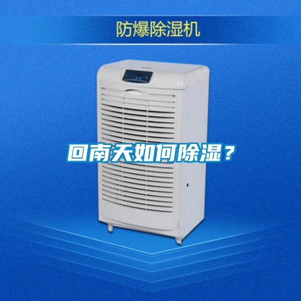 回南天如何91看片在线下载？