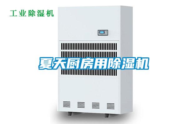 夏天廚房用91看片在线下载機
