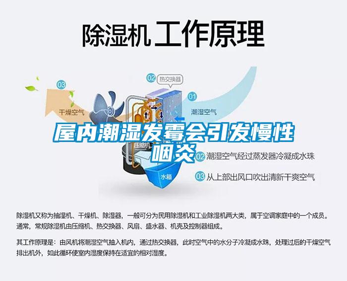屋內潮濕發黴會引發慢性咽炎
