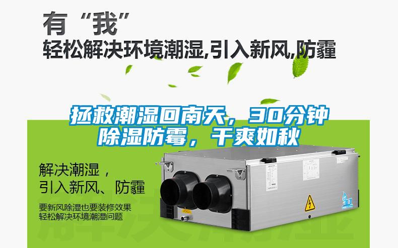 拯救潮濕回南天，30分鍾91看片在线下载防黴，幹爽如秋