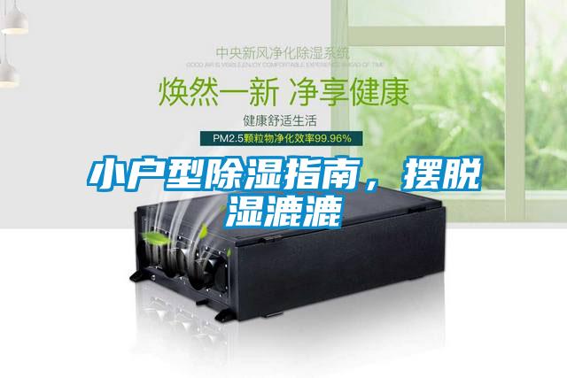 小戶型91看片在线下载指南，擺脫濕漉漉