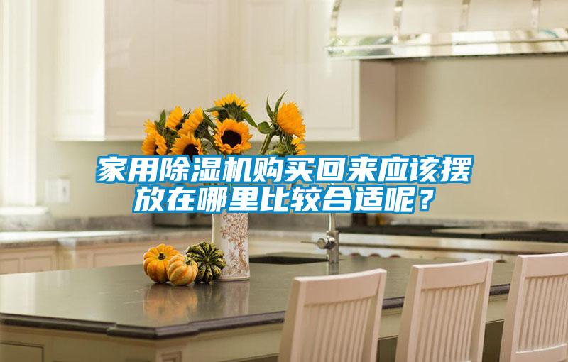 家用91看片在线下载機購買回來應該擺放在哪裏比較合適呢？