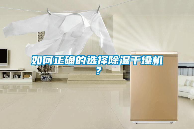 如何正確的選擇91看片在线下载幹燥機？