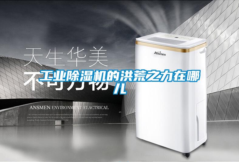 工業91看片在线下载機的洪荒之力在哪兒