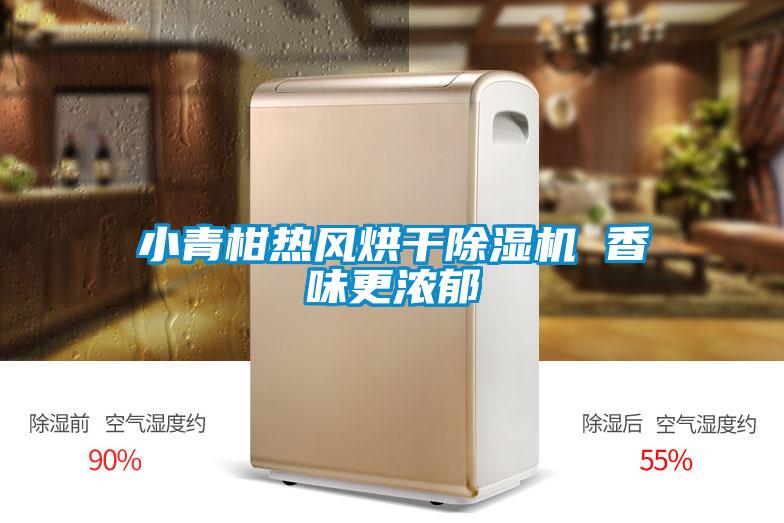 小青柑熱風烘幹91看片在线下载機 香味更濃鬱