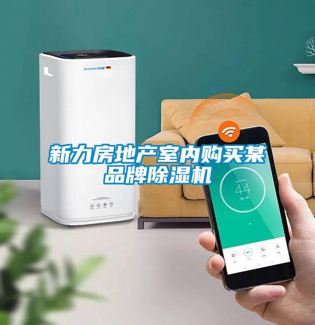 新力房地產室內購買某品牌91看片在线下载機