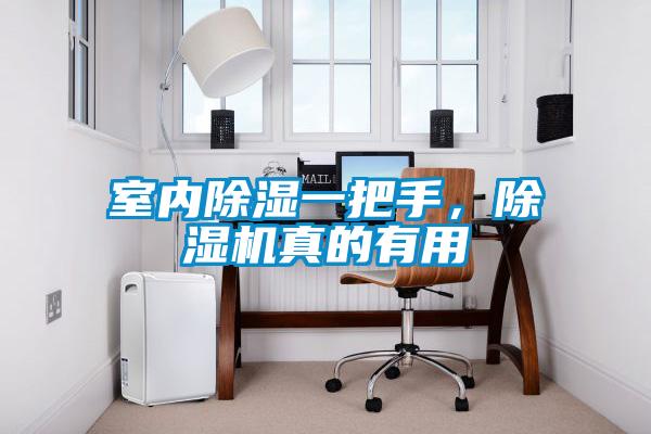 室內91看片在线下载一把手，91看片在线下载機真的有用