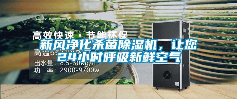 新風淨化殺菌91看片在线下载機，讓您24小時呼吸新鮮空氣
