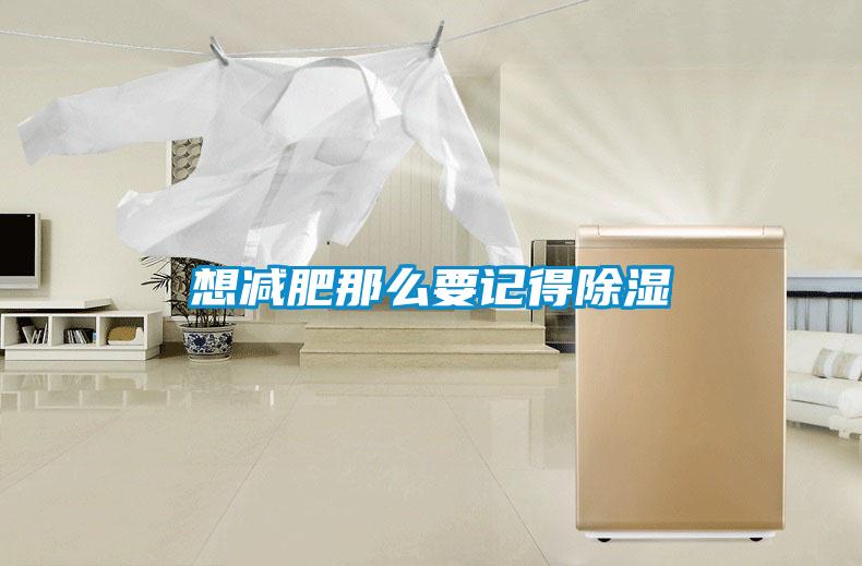 想減肥那麽要記得91看片在线下载