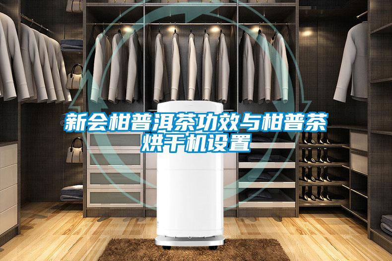 新會柑普洱茶功效與柑普茶烘幹機設置