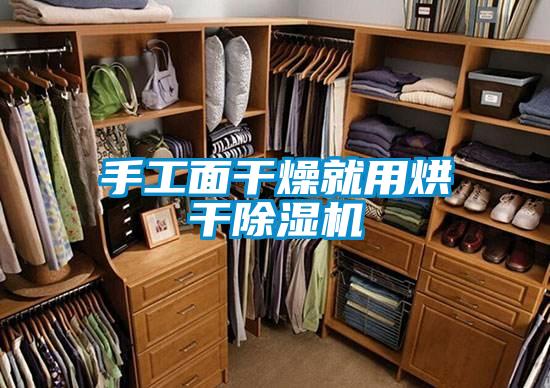 手工麵幹燥就用烘幹91看片在线下载機