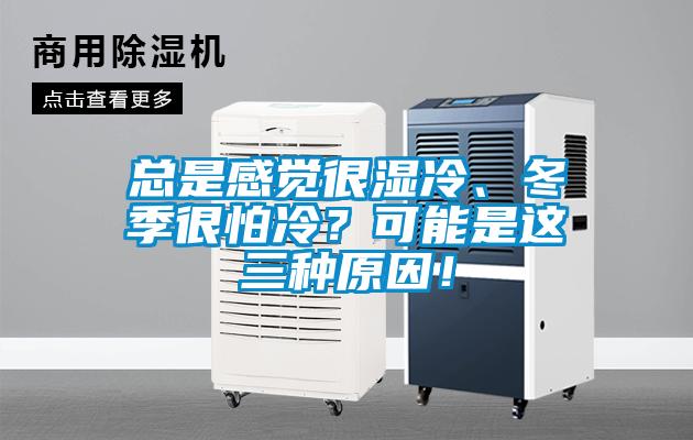 總是感覺很濕冷、冬季很怕冷？可能是這三種原因！