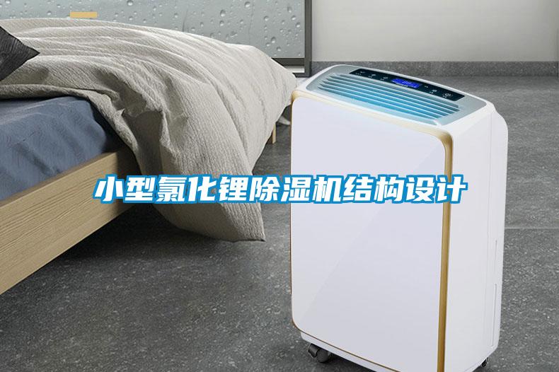 小型氯化鋰91看片在线下载機結構設計