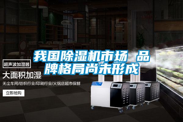 我國91看片在线下载機市場 品牌格局尚未形成