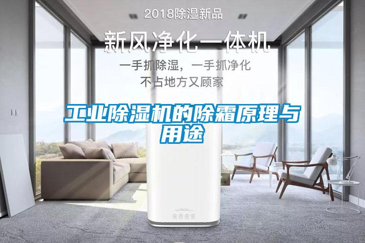 工業91看片在线下载機的除霜原理與用途