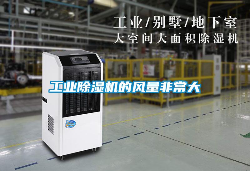 工業91看片在线下载機的風量非常大
