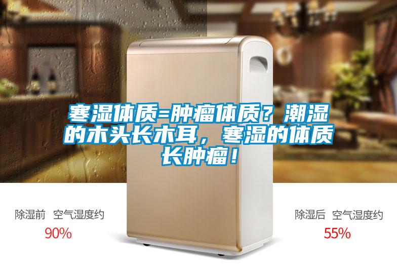 寒濕體質=腫瘤體質？潮濕的木頭長木耳，寒濕的體質長腫瘤！