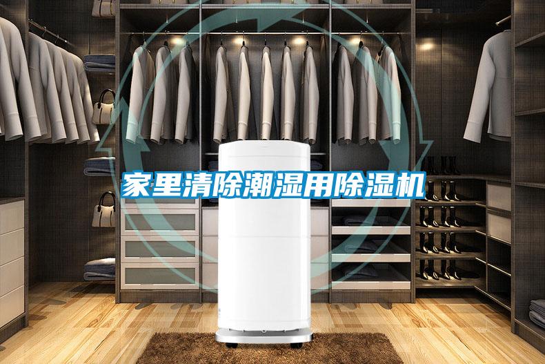 家裏清除潮濕用91看片在线下载機