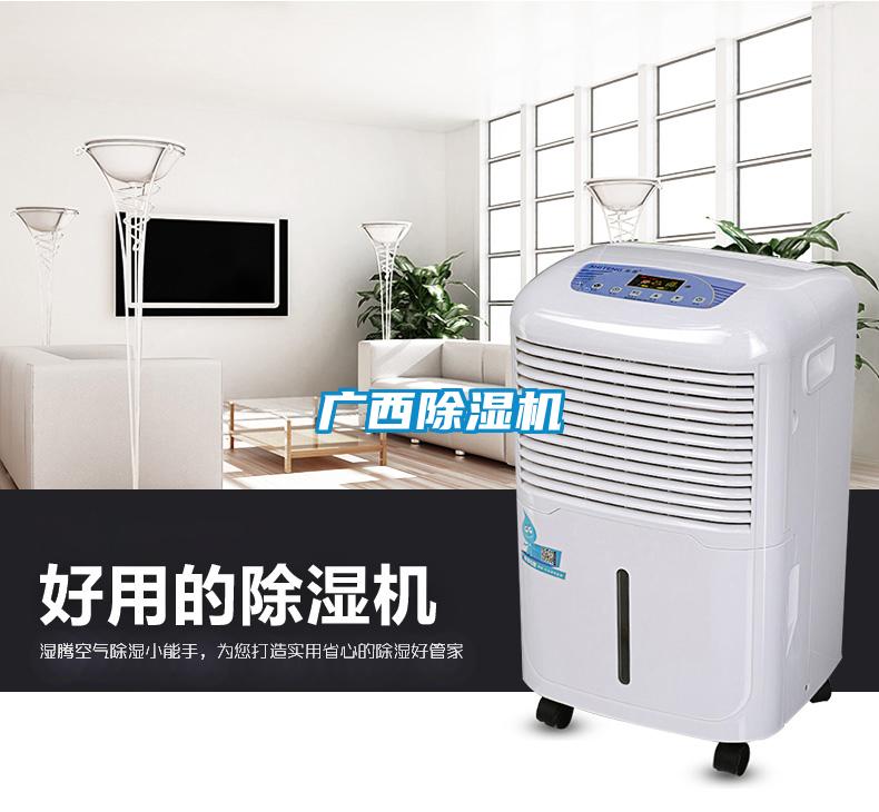 廣西91看片在线下载機