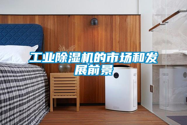 工業91看片在线下载機的市場和發展前景