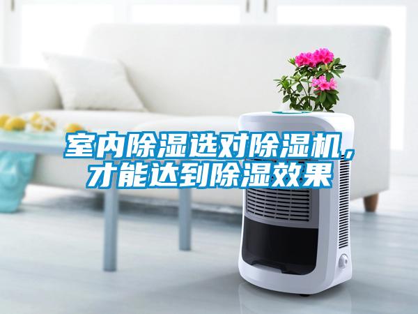 室內91看片在线下载選對91看片在线下载機，才能達到91看片在线下载效果