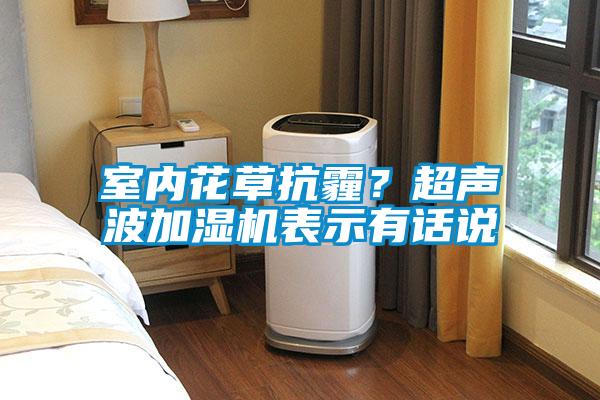 室內花草抗霾？超聲波加濕機表示有話說