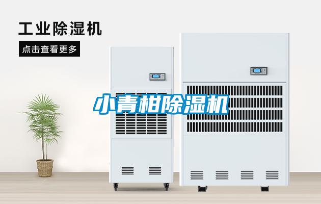 小青柑91看片在线下载機