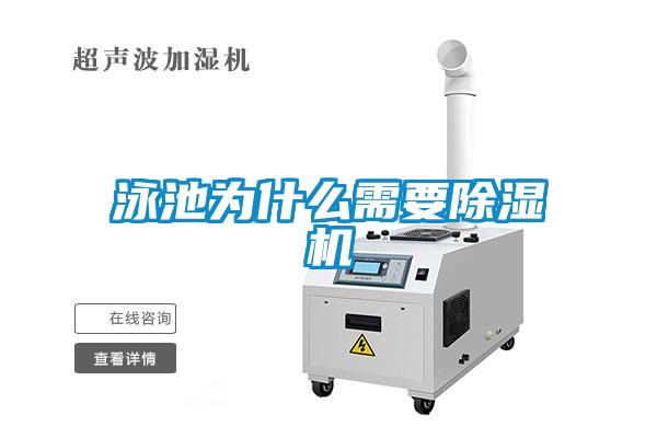 泳池為什麽需要91看片在线下载機