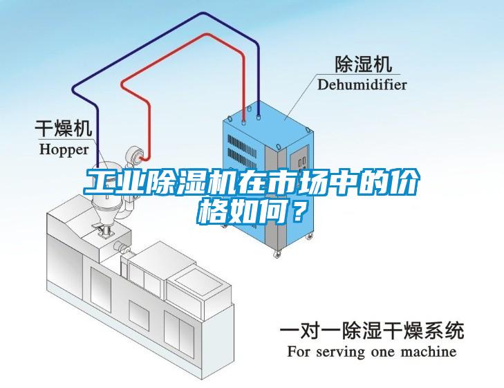 工業91看片在线下载機在市場中的價格如何？