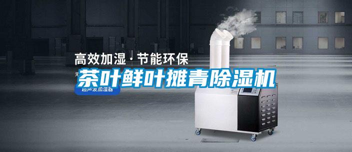 茶葉鮮葉攤青91看片在线下载機