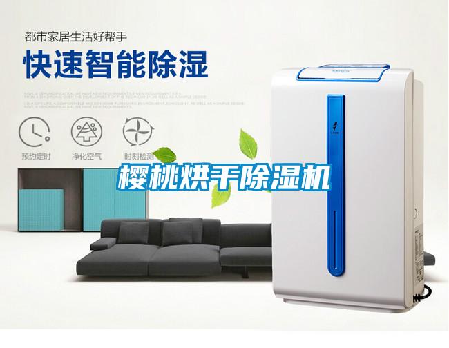 櫻桃烘幹91看片在线下载機